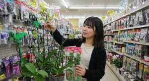 100均で胡蝶蘭の支柱やクリップを選んでいる日本人女性