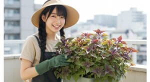 <img src="safe_planter_growing.jpg" alt="プランターでシソを安全に育てる女性">