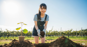 最適なキウイ苗の植え付け時期