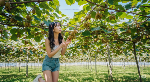 キウイ実がなるまでの疑問と注意点