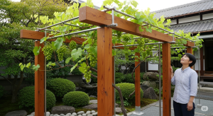 シャインマスカット棚の作り方｜DIYで簡単設置する全手順