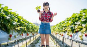 \<img src="h1\_title.jpg" alt="ミニスカートでガーデニングコーデの若い日本人女性が、いちごの苗を持って笑顔で立っている様子。"\>