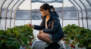 \<img src="h3\_kanreichi.jpg" alt="ダウンジャケットとミニスカート姿の若い日本人女性が、雪景色の中、家庭用ビニールハウスでいちごの様子を見ている全身の様子。"\>