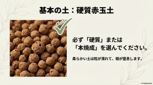 粒が崩れにくい硬質赤玉土のクローズアップ画像と選び方の注意点
