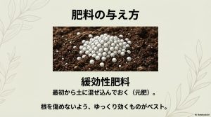根を傷めない緩効性肥料を土に混ぜ込む元肥の解説